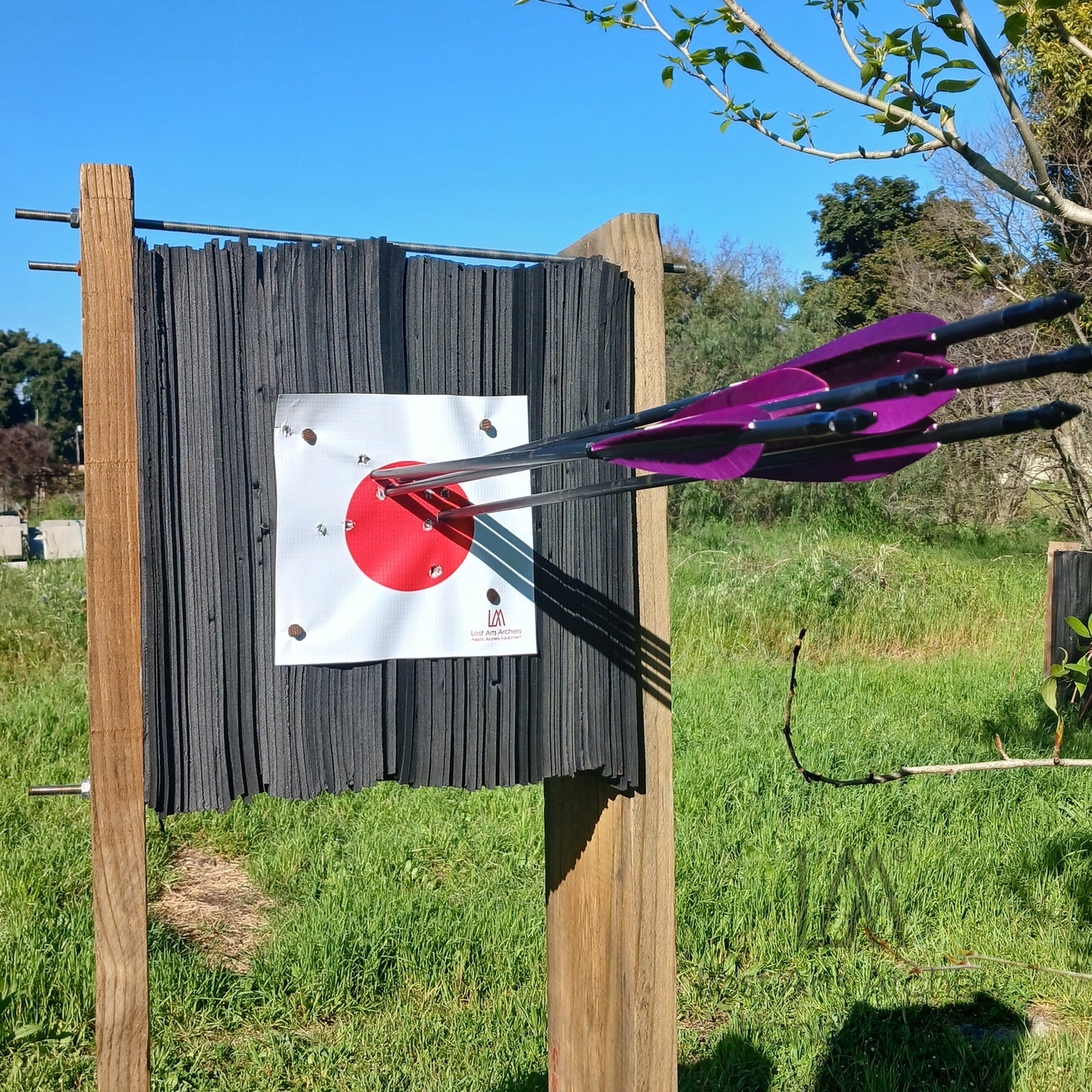 10cm 1000 Arrow Target Face