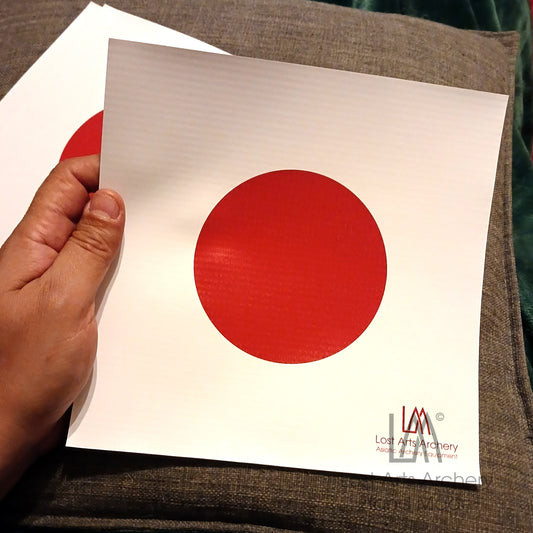 10cm 1000 Arrow Target Face