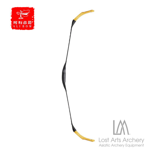 Tatar Fiberglass Bow 2025