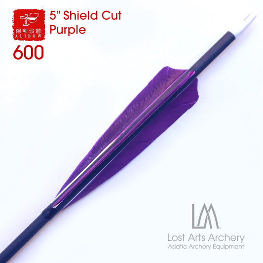 Ali Bow Carbon Arrows 600 spine - Purple 5" Shield Cut