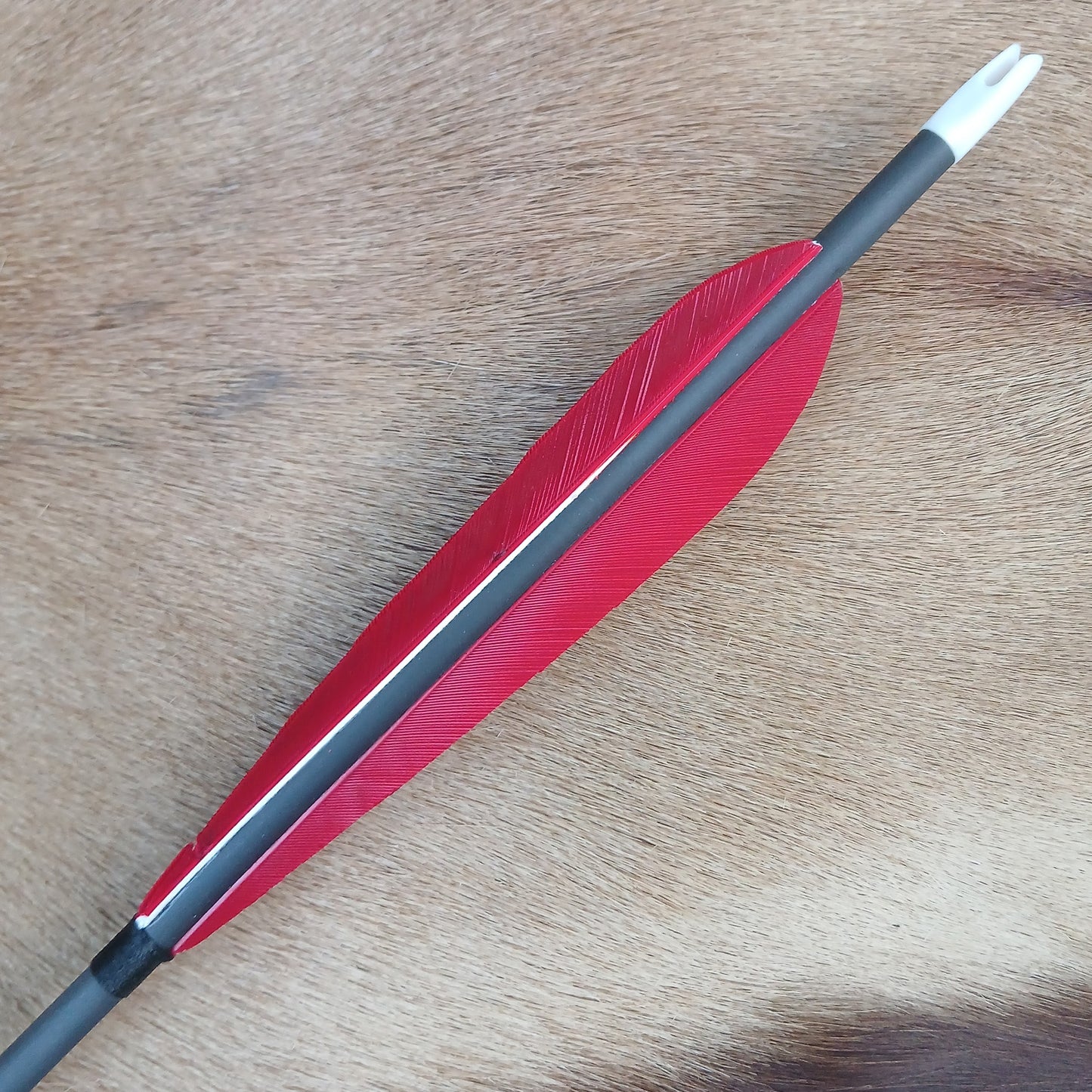 Complete Special Arrows - Big Rubber Blunt