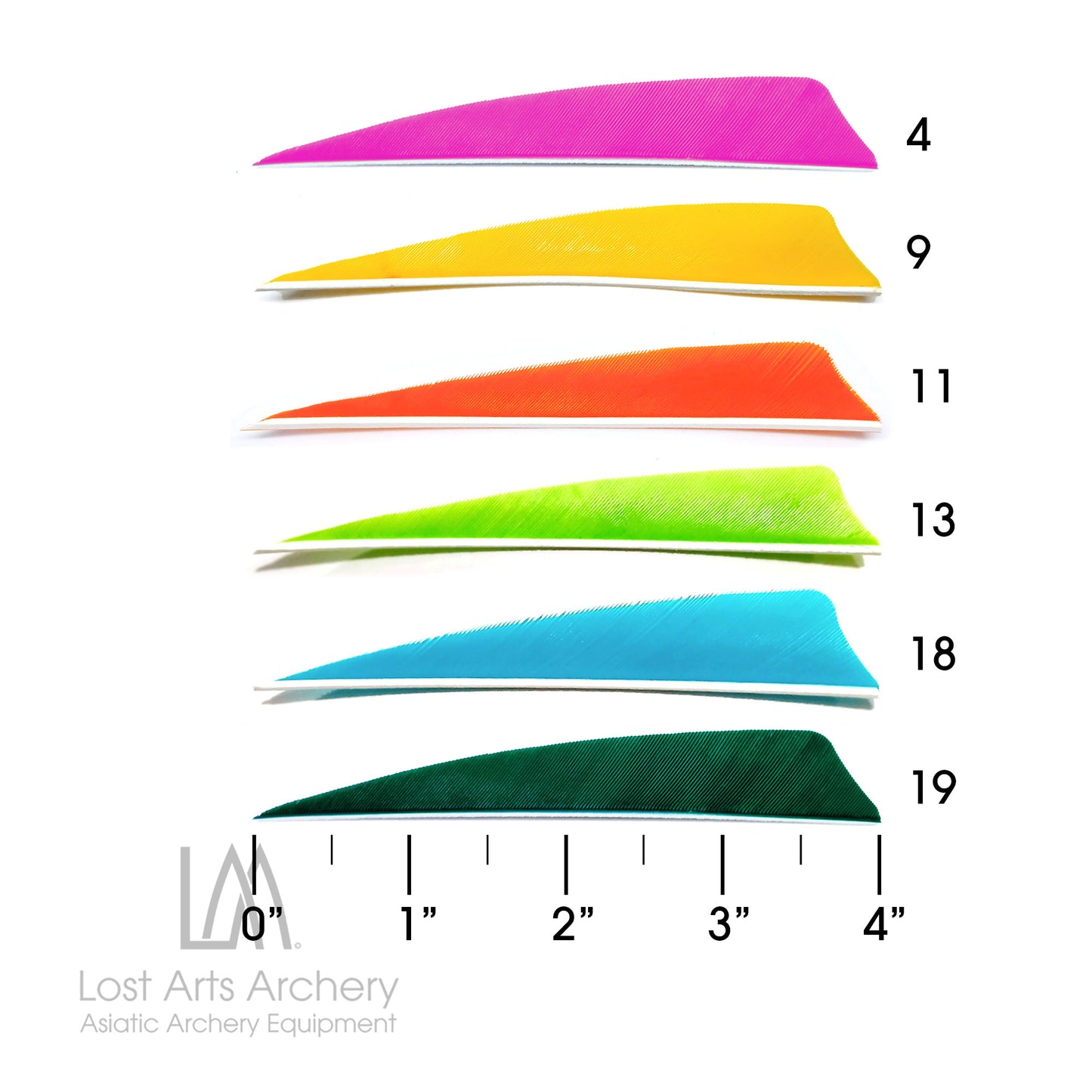 Shield Cut Turkey Feathers 4 inches