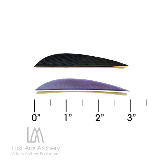 Parabolic Cut Turkey Feathers 3 inches