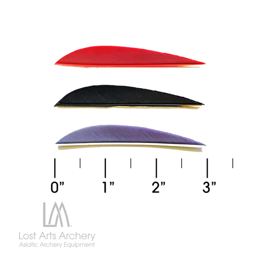 Parabolic Cut Turkey Feathers 3 inches
