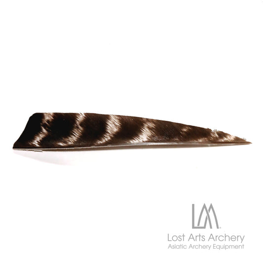 Shield Cut Turkey Feathers Natural  Striped 4 inches