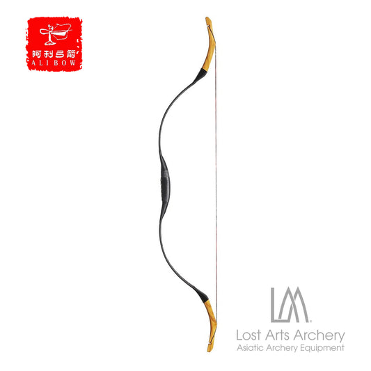 Tatar Fiberglass Bow 2025